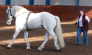 Pequo
