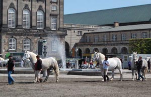 Boulonnais i København