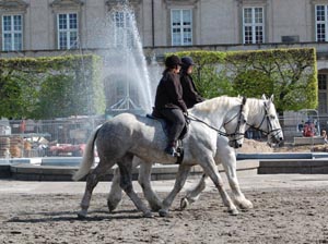 Boulonnais i København