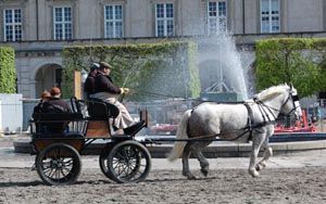 Boulonnais i København