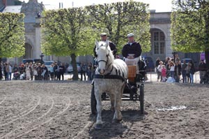 Boulonnais i København