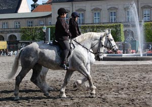 Boulonnais i København