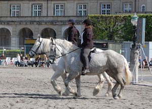 Boulonnais i København