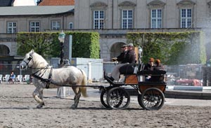 Boulonnais i København