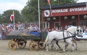 Opaline og Oasis på Roskilde Dyrskue