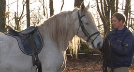 Marquise 237