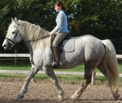 Opaline 57